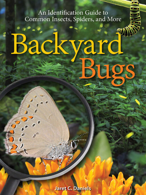 Title details for Backyard Bugs by Jaret C. Daniels - Available